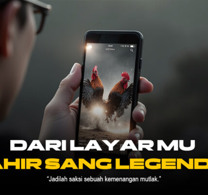 Mengenal Jenis Ayam Aduan SV388: Jenis Terpopuler & Odds