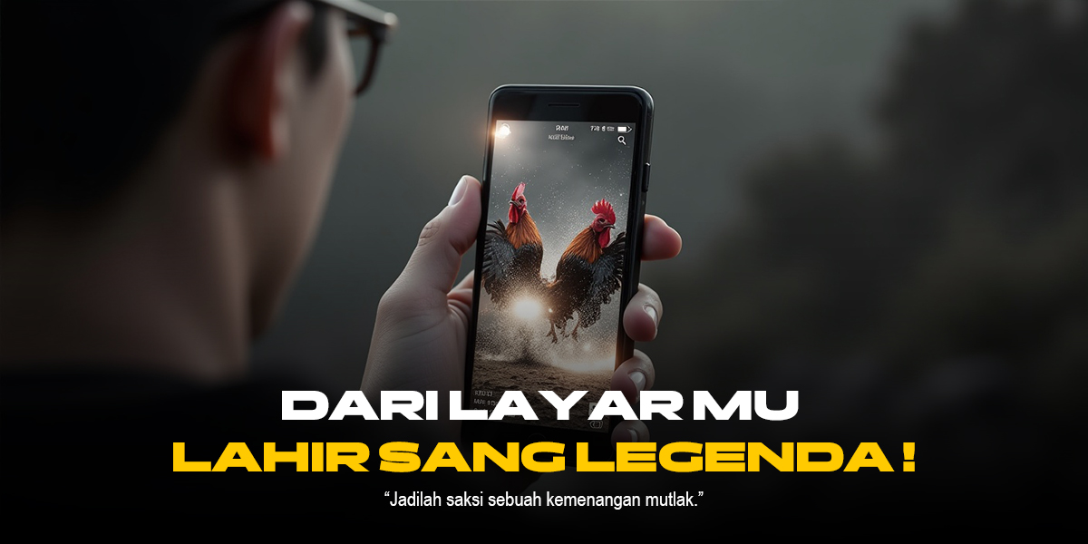 Mengenal Jenis Ayam Aduan SV388: Jenis Terpopuler & Odds