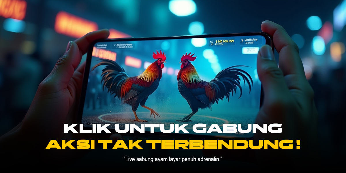 Mengenal Jenis Ayam dan Odds Sabung Ayam SV388
