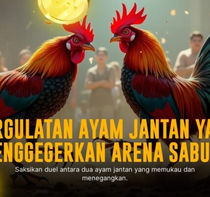 Mengenal Ayam Bangkok: Raja Pertarungan Sabung Ayam