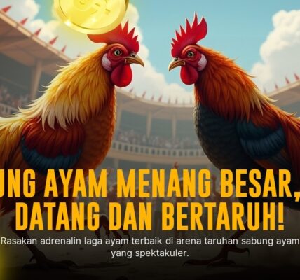 Mengenal Ayam Bangkok, Raja Sabung Ayam di SV388