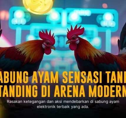 Mengenal Ayam Bangkok, Raja Sabung Ayam Online