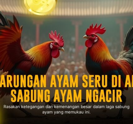 Menggali Keunikan Ayam Bangkok: Raja Sabung Ayam di SV388